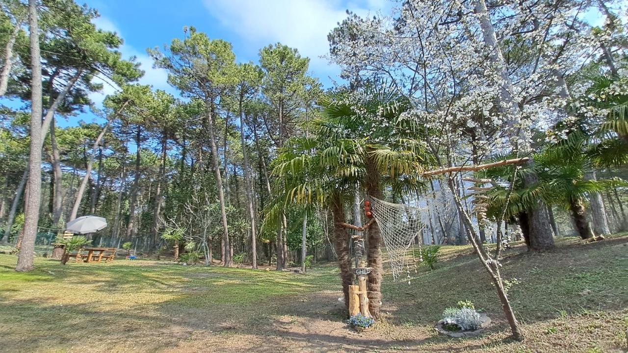 ליגננו סביאדורו Villa Barbara Fra I Pini מראה חיצוני תמונה