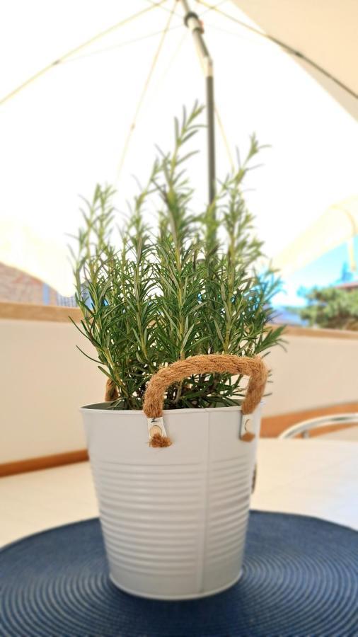ליגננו סביאדורו Villa Barbara Fra I Pini מראה חיצוני תמונה